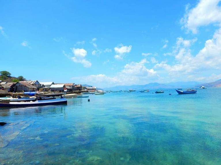 Jasa pembuatan website di Maumere Kabupaten Sikka NTT