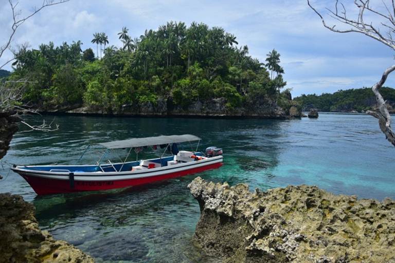 jasa pembuatan website di Kaimana Papua Barat